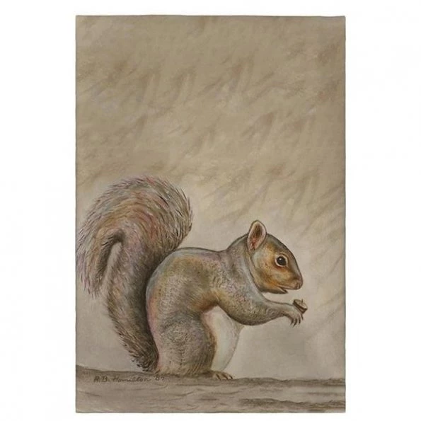 Betsy Drake GT314 Squirrel Guest Towel – 20 x 20 in.