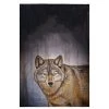 Betsy Drake GT315 Wolf Guest Towel - 20 x 20 in.