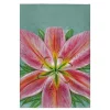Betsy Drake GT701 Pink Lily Guest Towel - 20 x 20 in.