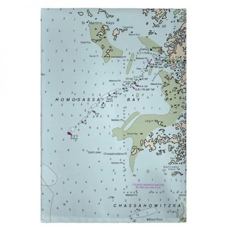 Betsy Drake GT11409CR 20 x 20 in. Crystal Bay to Homosassa Bay; MD Nautical Map Guest Towel