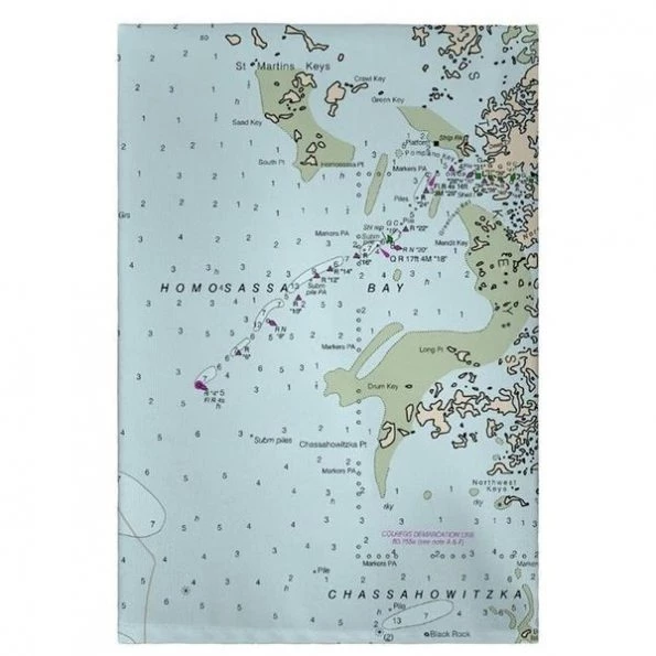 Betsy Drake GT11409CR 20 x 20 in. Crystal Bay to Homosassa Bay; MD Nautical Map Guest Towel