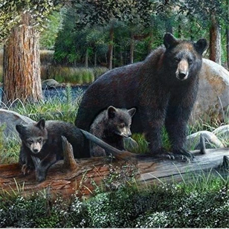 DLC 62014 Rustic Black Bear & Cubs Shower Curtain - 0.1 x 70.75 x 70.75 in.