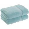 Superior 900GSM Egyptian Cotton 2-Piece Bath Towel Set Seafoam