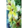 VersaTraction's Kahuna Grip Bathmat - Tropical Flowers