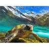 VersaTraction's Kahuna Grip Bathmat - Sea Turtle 2